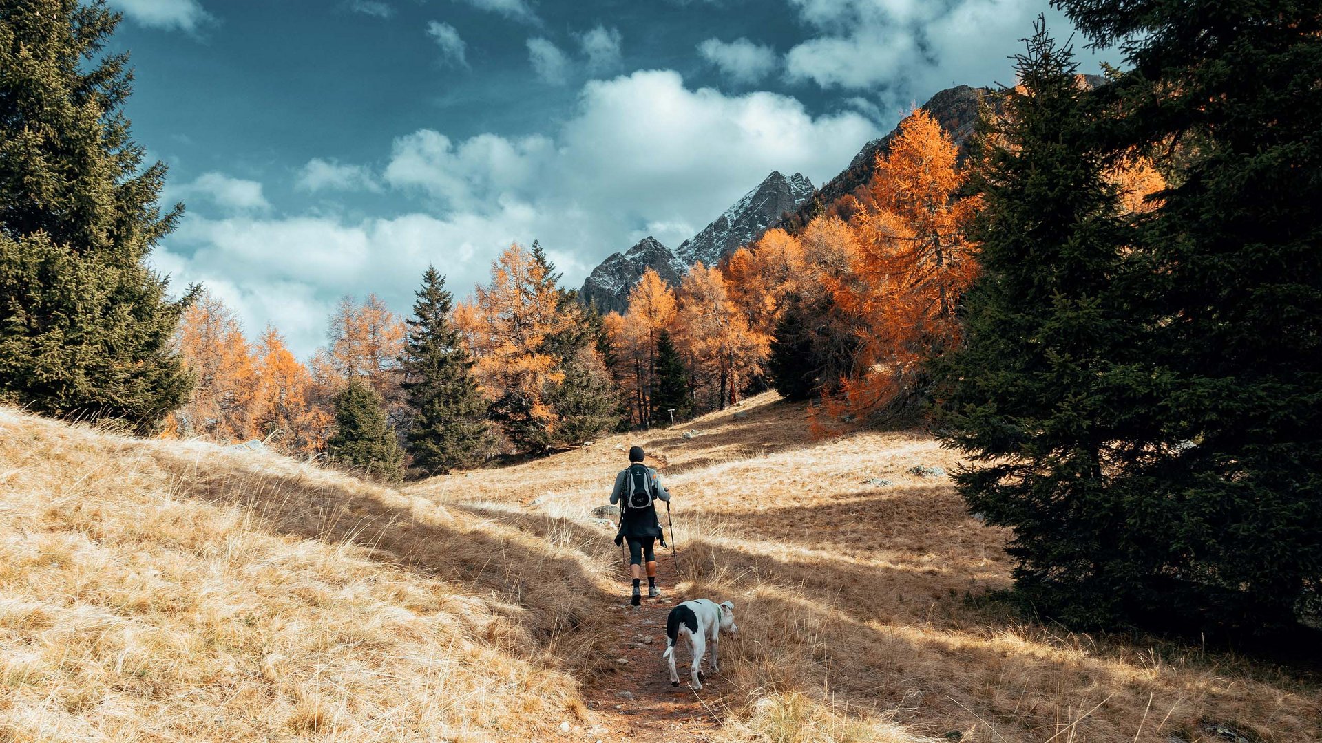 Il vostro autunno in Alto Adige